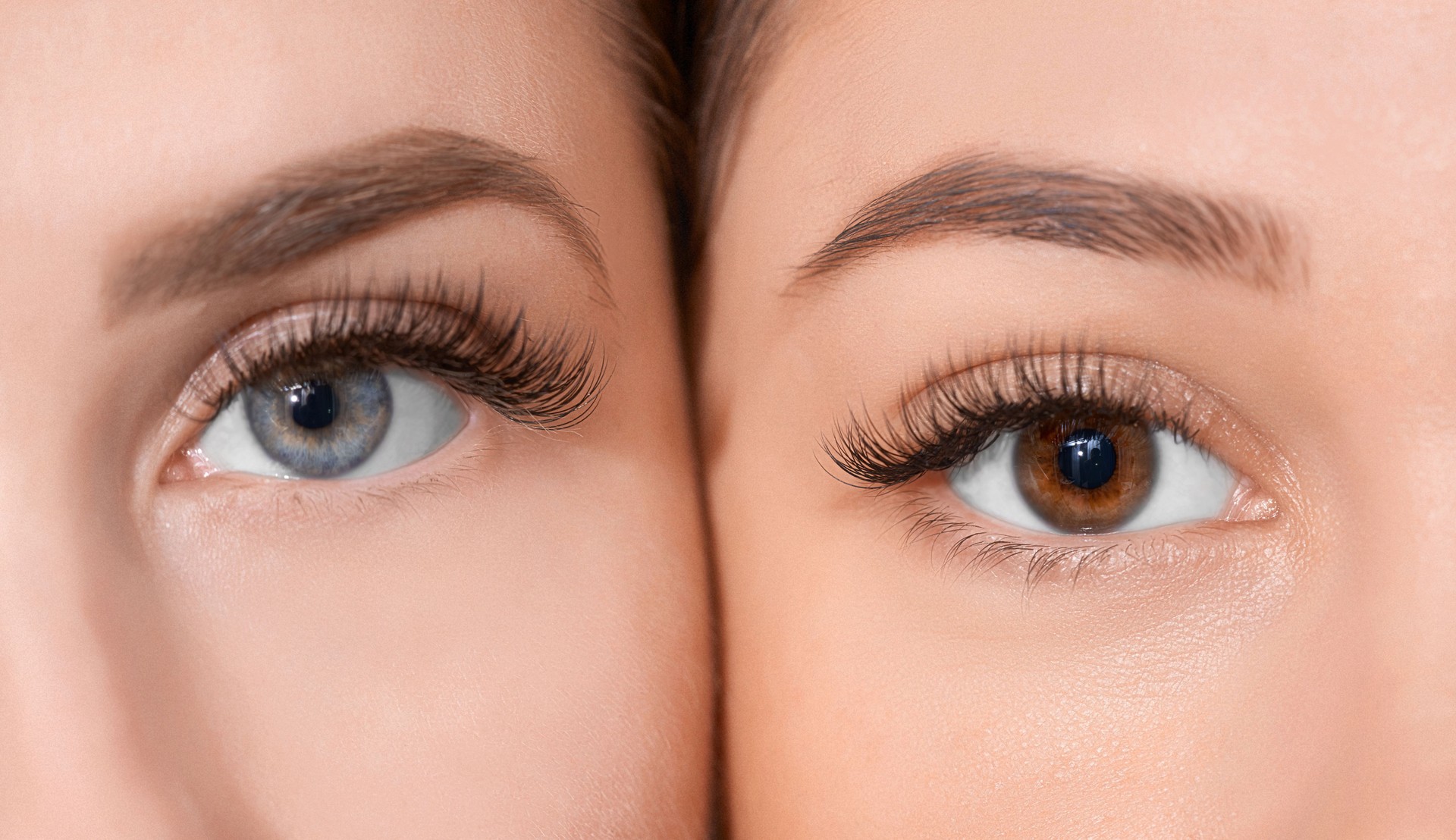 Eyebrow Lamination & Lash Lift in Bangalore India Eyebrow Lamination & Lash Lift in Bangalore India