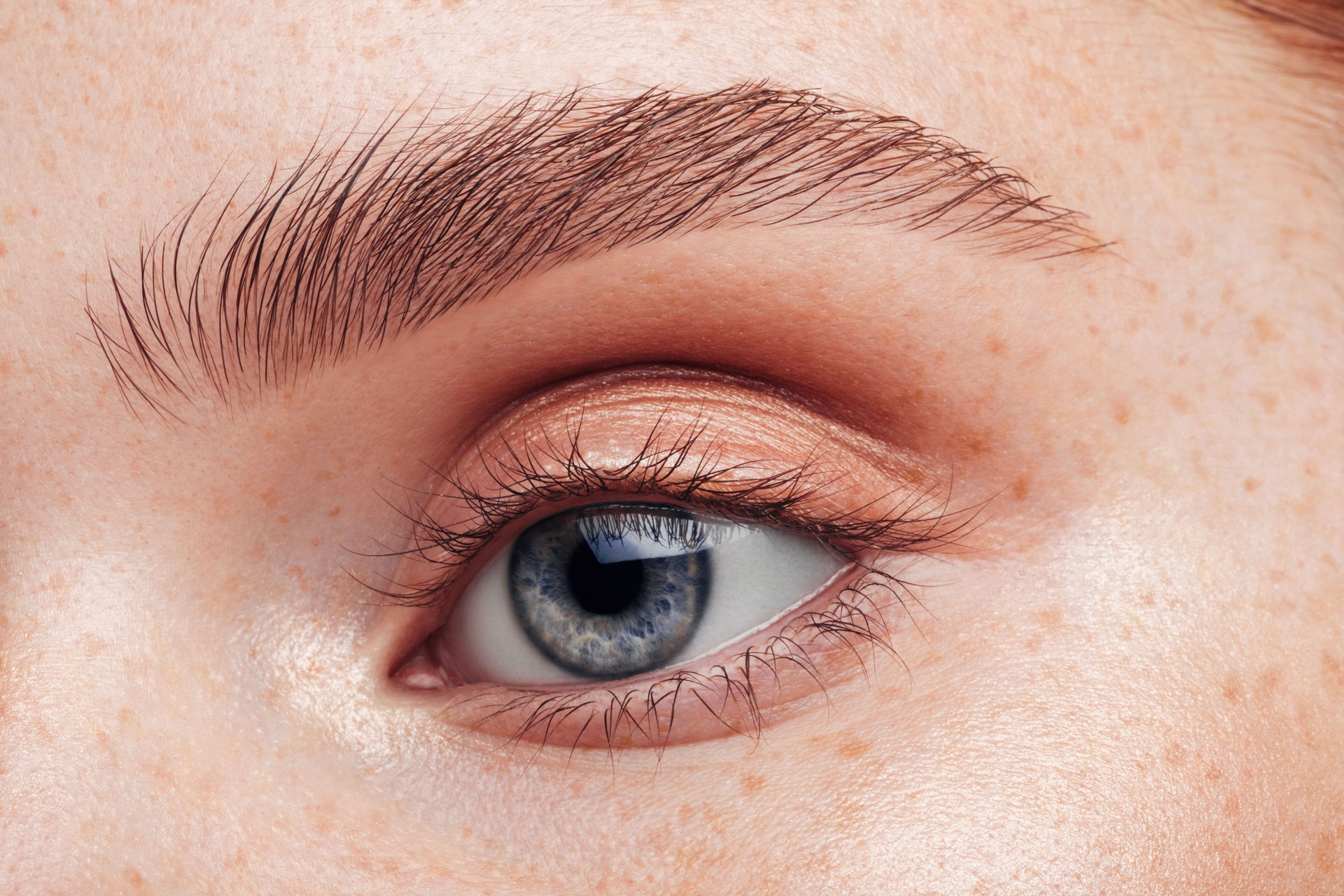 Combination Brows in Bangalore India Combination Brows in Bangalore India